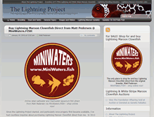 Tablet Screenshot of lightning-maroon-clownfish.com